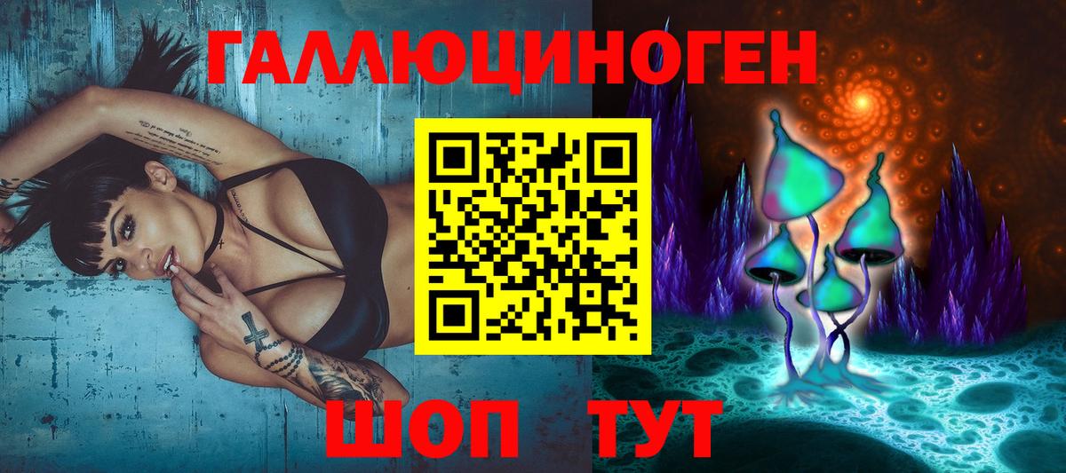Ессентуки  Галлюциногенные грибы Psilocybine cubensis  Вход с VPN 