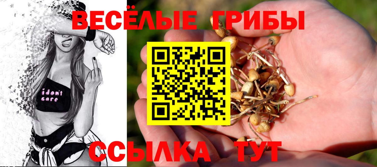 Галлюциногенные грибы прущие грибы Ессентуки